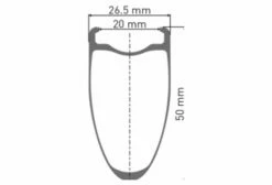 Roue Arrière DT Swiss ARC 1100 Dicut 50 Disc 650b | 12x142mm | Centerlock