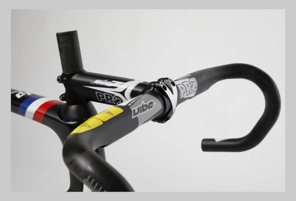 Produit Reconditionné - Cadre Lapierre Xelius SL Disque Taille XL Team Groupama-FDJ 6 Produit Reconditionné - Cadre Lapierre Xelius SL Disque Taille XL Team Groupama-FDJ – Image 6